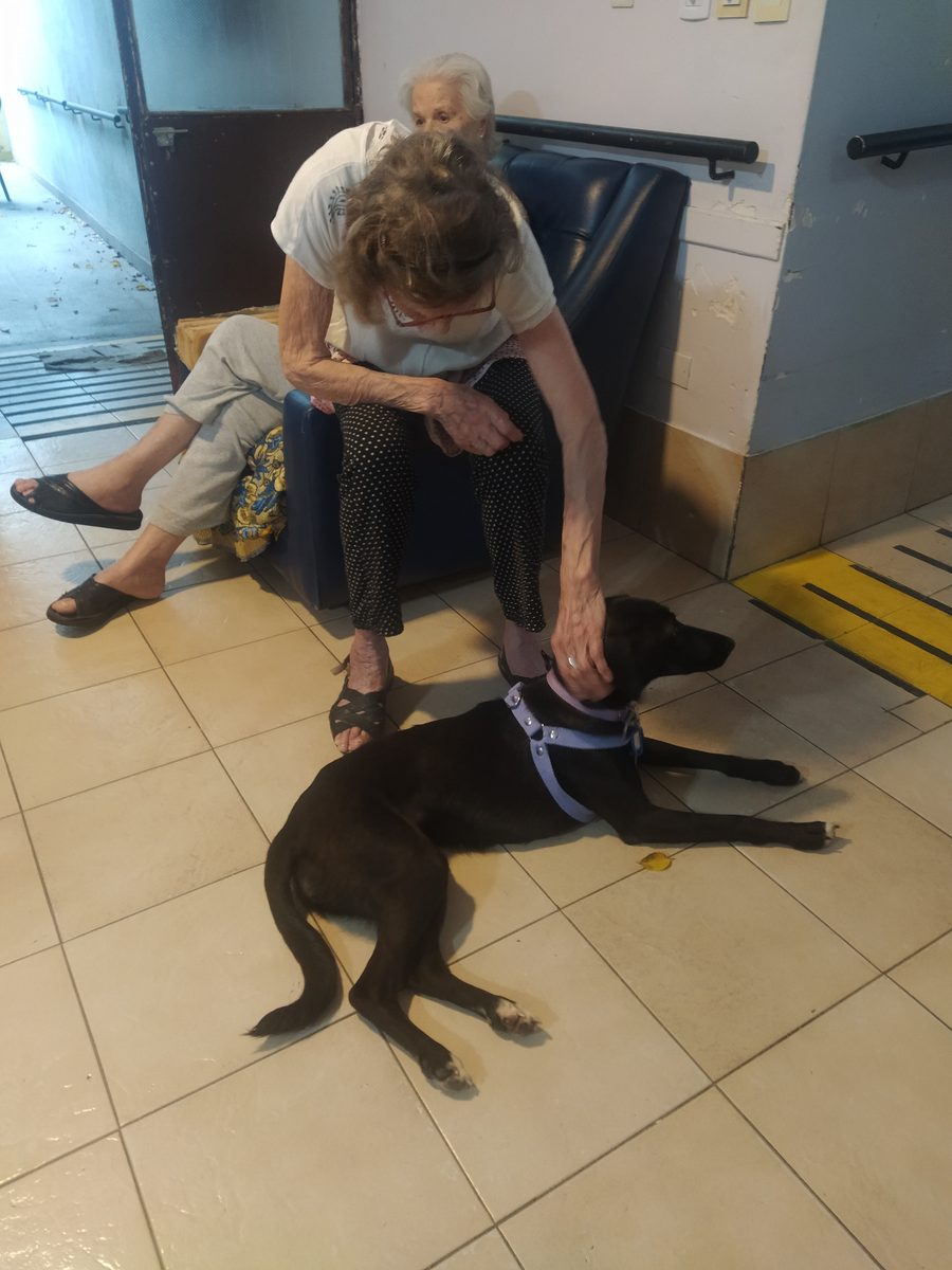Una residente acaricia a uno de nuestros perros en la sala común
