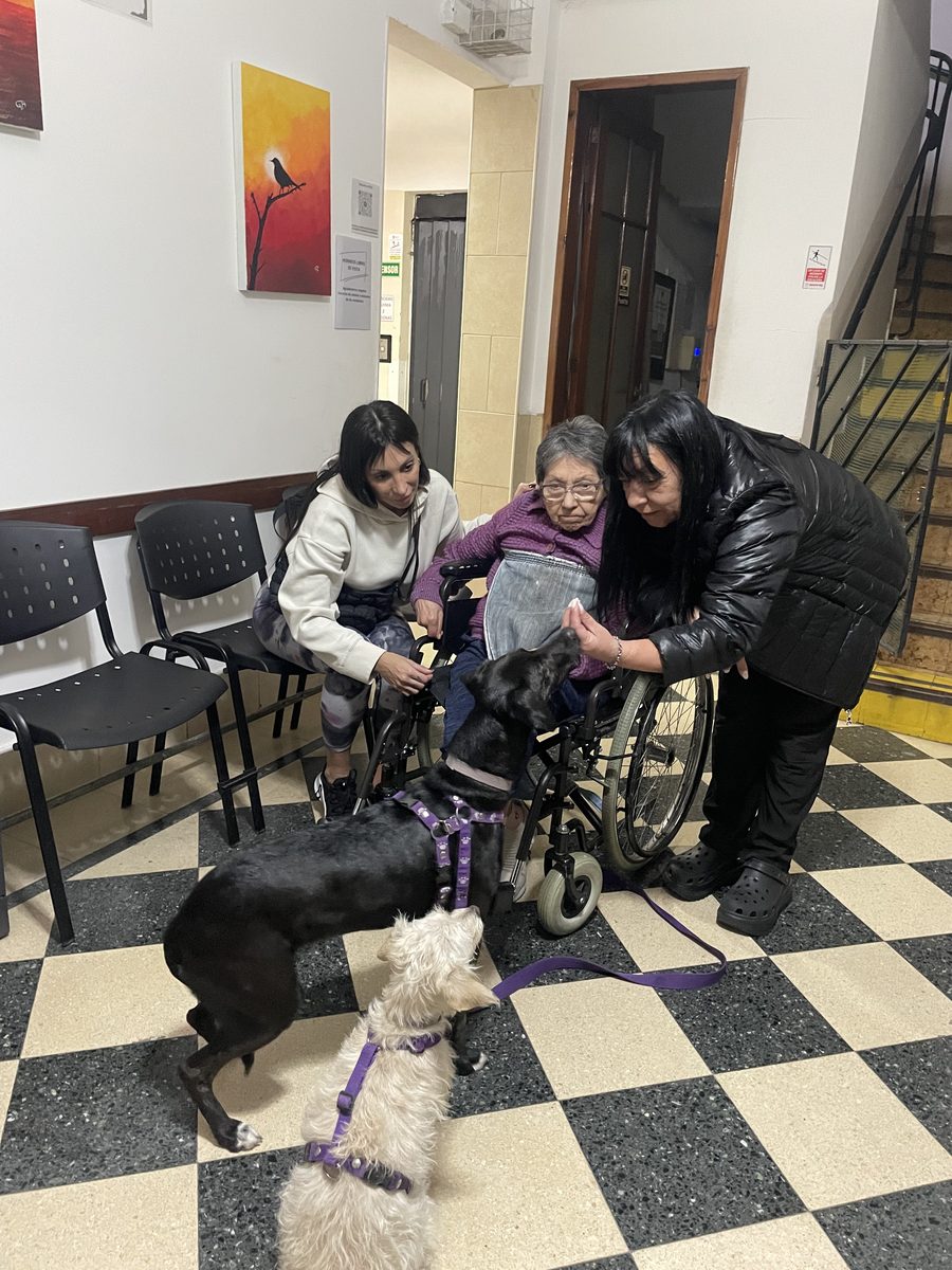 Recorrida por los pasillos de la residencia junto a los perros