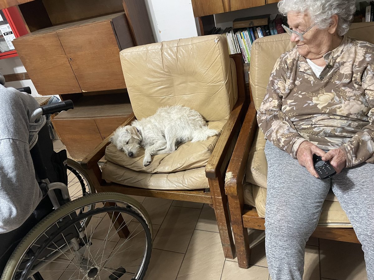 Perro descansando en compañía de una residente