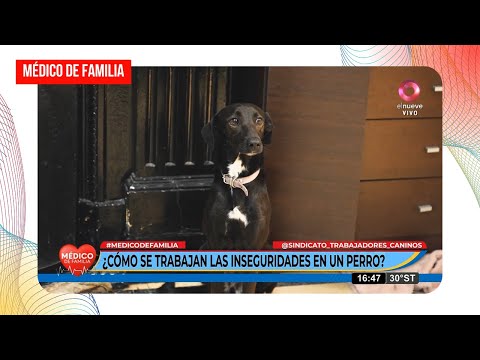 Nota en Canal 9